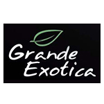 Grand Exotica